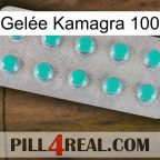 Gelée Kamagra 100 28